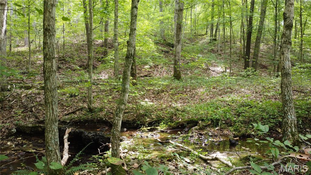 10223 San Juan Trail