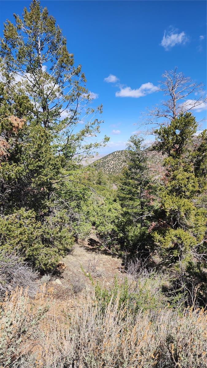 5040 & 5041 Mamouche Road