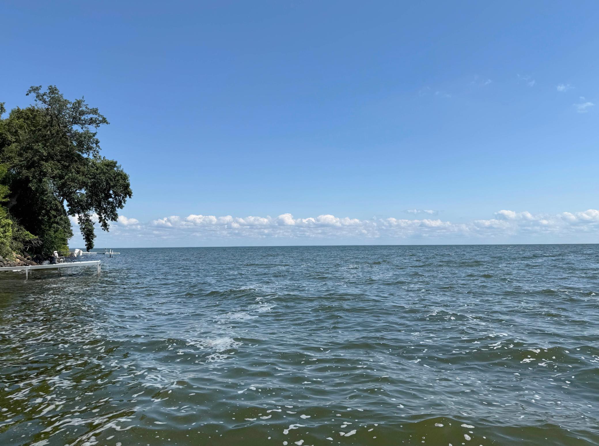 44205 Conifer Street