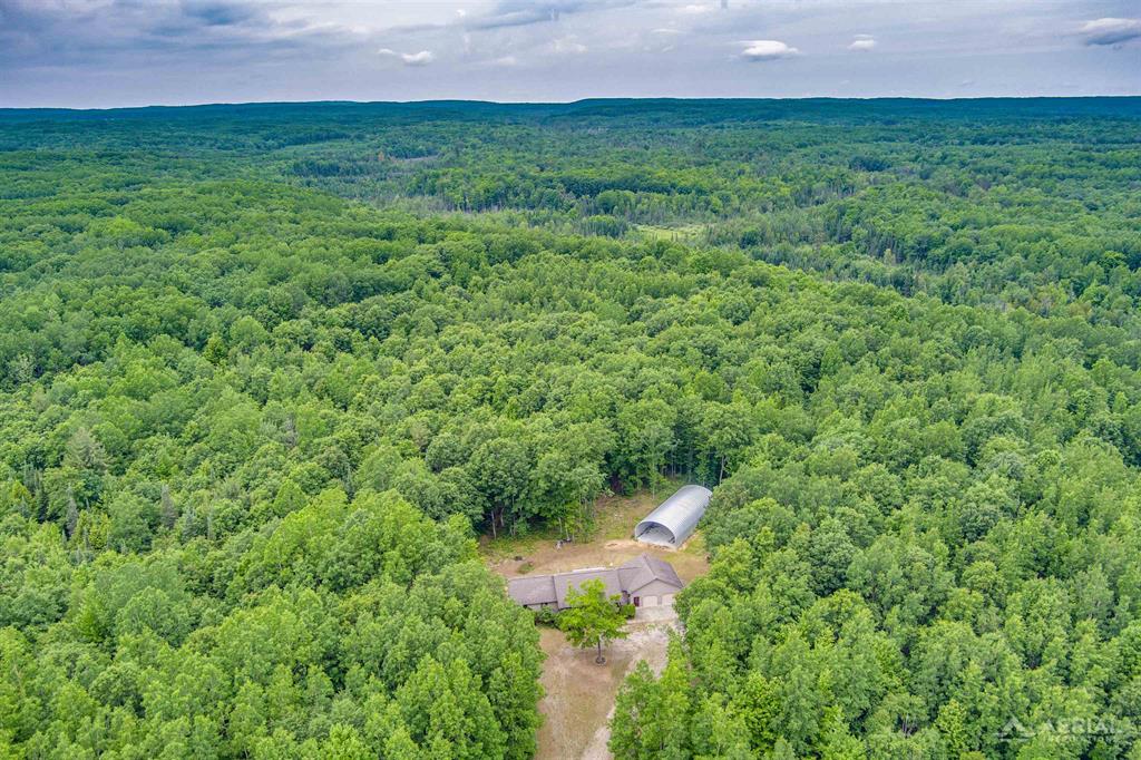 Inviting home on 10 wooded acres bordering the Huron National Forest. Ideal for outdoor enthusiats or anyone seeking peace and privacy, all within reach of endless hiking, hunting and recreational opportunites. Trails are cut in to reach the perimeter of the property and then head out to the National Forest. This spacious home has a primary bedroom with ensuite bath and walk in closet, two more bedrooms, bonus room and another full bath, open kitchen, dining space, living room with cathedral ceiling, laundry room and beautifiul hard wood floors all on the main floor. Full finished walk out basement with wet bar, two large open spaces to make it into whatever you desire, full bath, and plenty of storage. On demand water heater, furnace, water softener, and central air were all new in 24. Softener and air are not hooked up yet, but are there for you. Large covered front porch, back deck, two car attached garage with attic storage and a 30 x 70 Quonset hut with cement floor and ready to be finished to store your toys, tools and vehicles. This property has so much to offer!