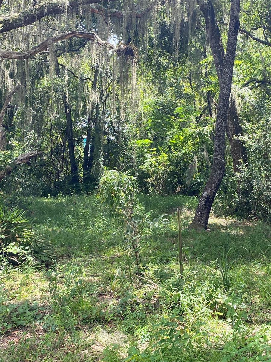 Cr 448C