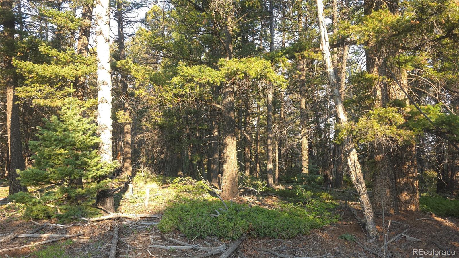 Lot 5768 Clawson Road