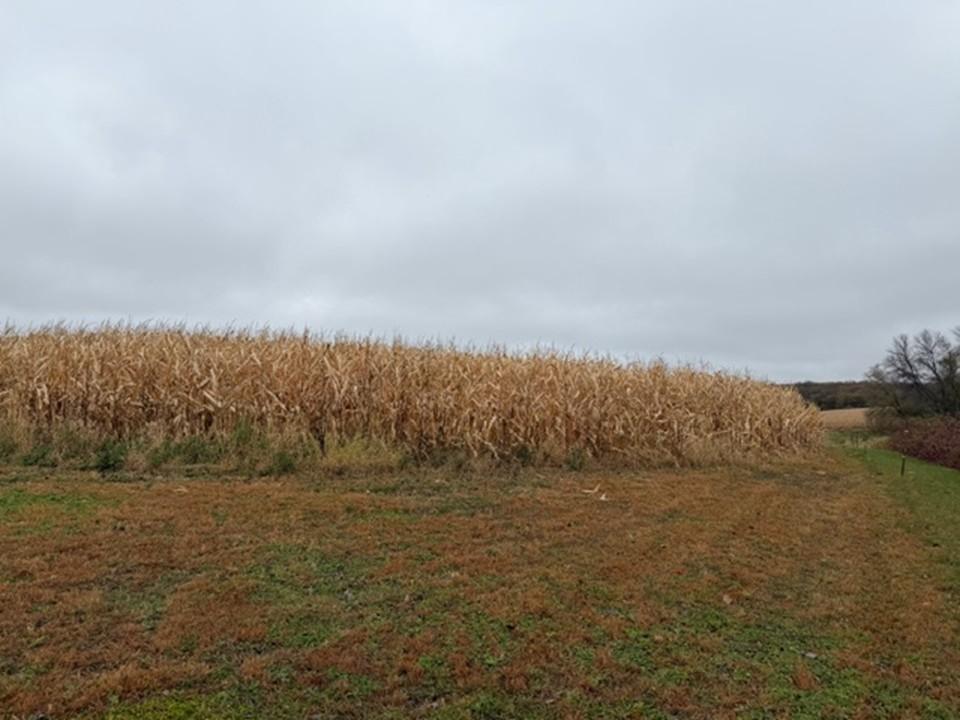 33100 Saint Olaf Way