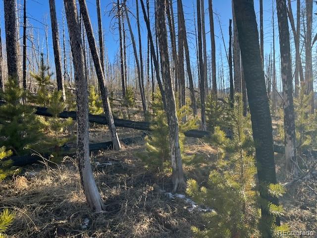 Lot 1502 Vonheyl Lane