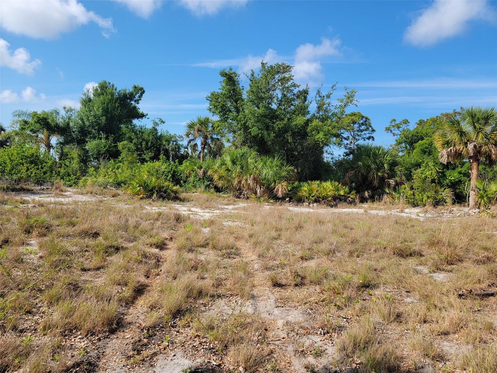 10163 Stonecrop Avenue