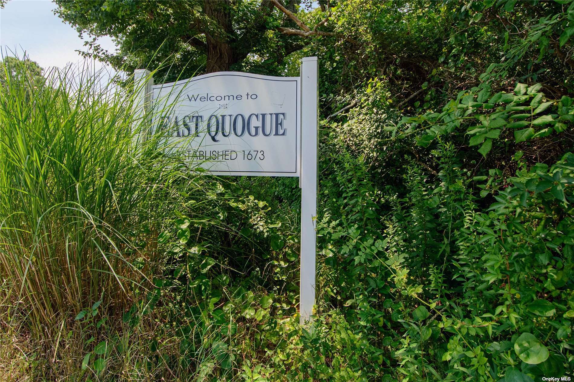 Land for sale in East Quogue, New York, 3516161