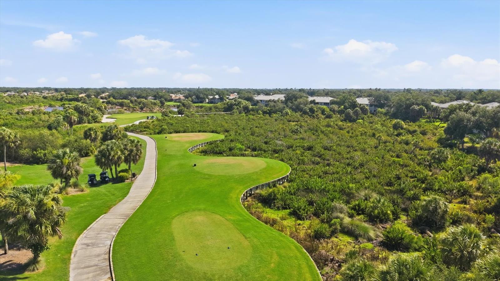 13392 Golf Pointe Drive