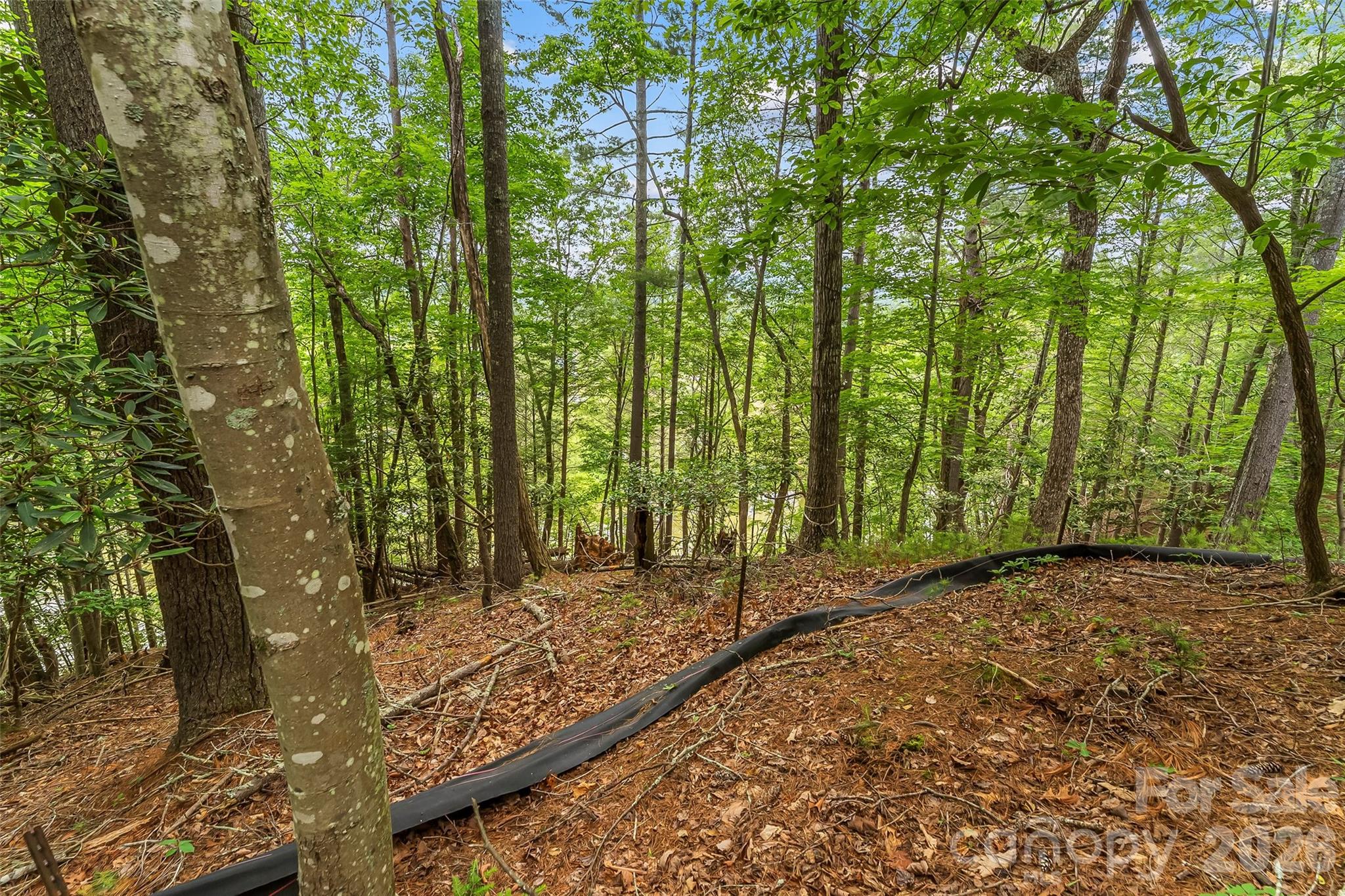 130 Settlement Ridge Drive 48