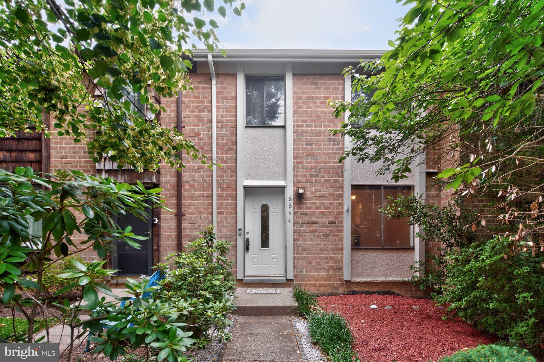 6584 Sweet Fern