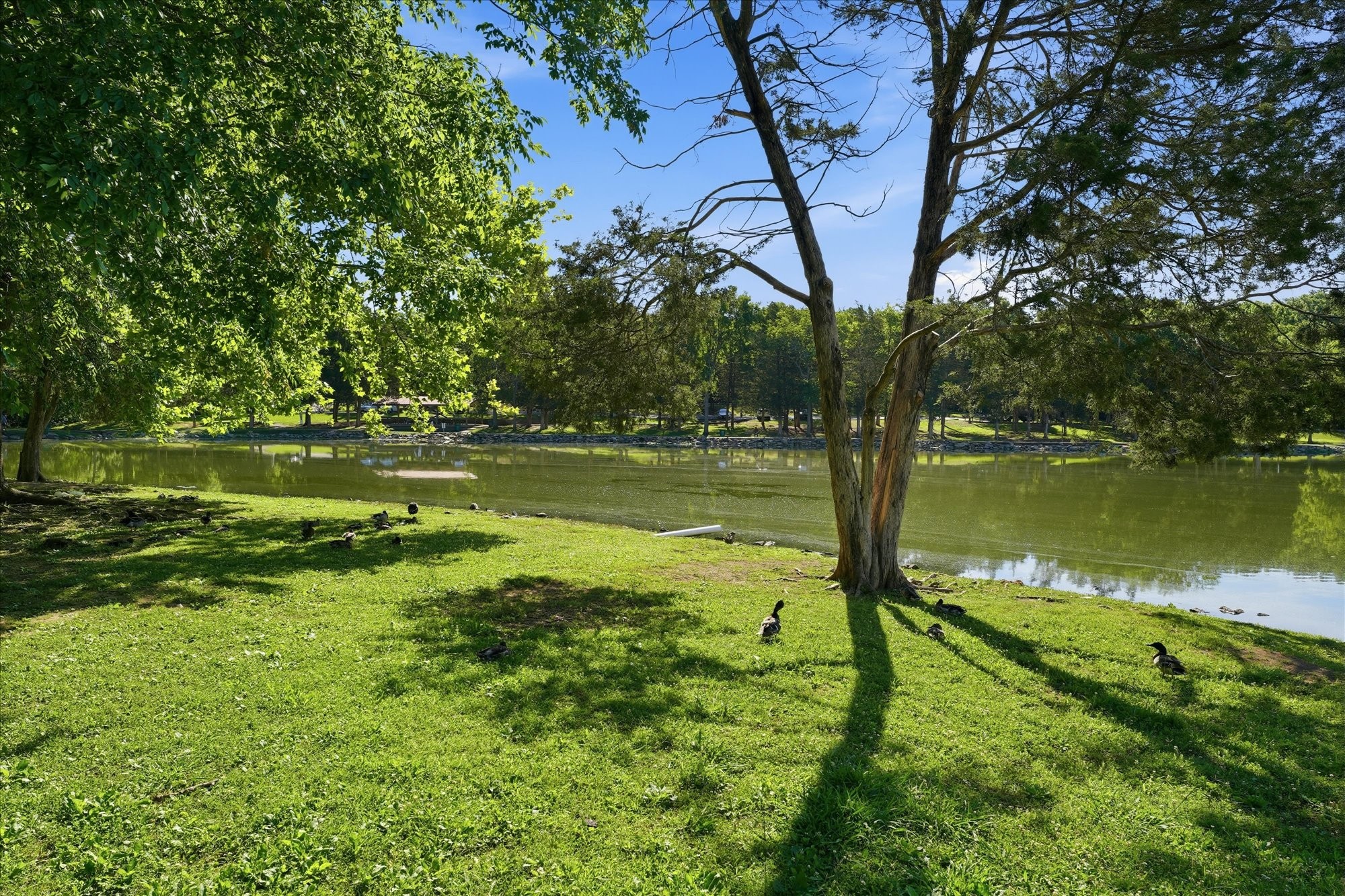812 Fonnic Dr