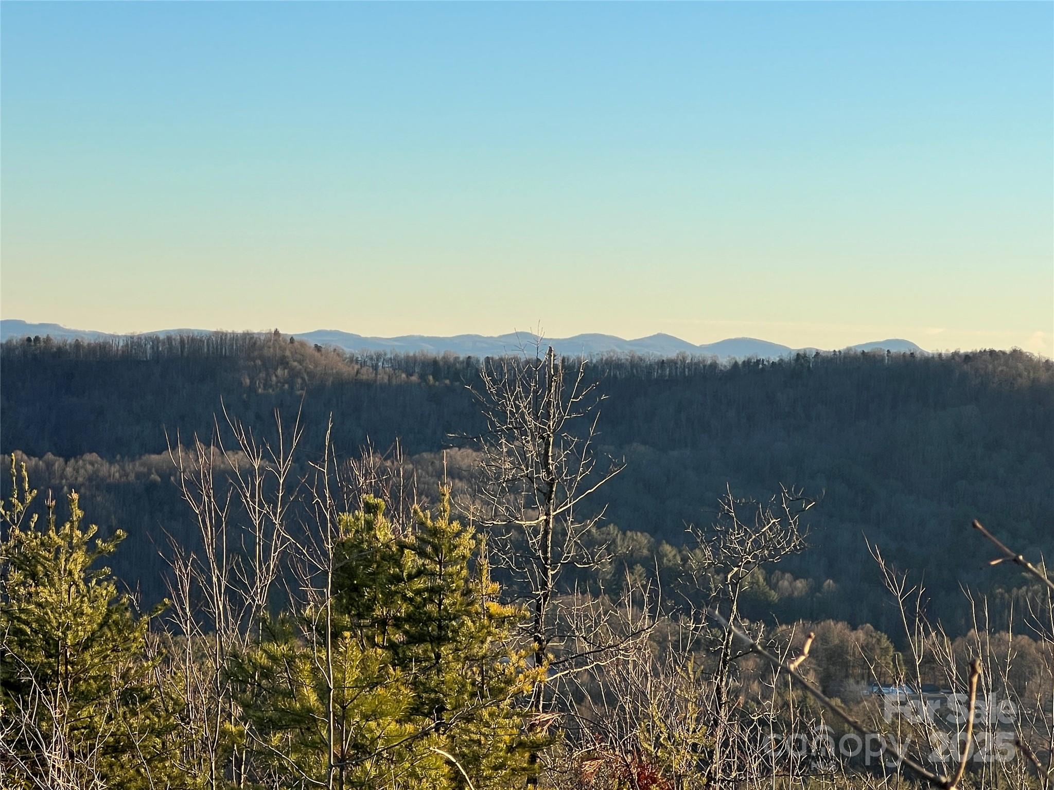 TR 14 Blackberry Ridge