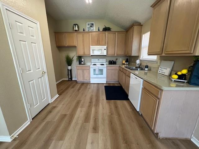 1015 Tyler James Drive