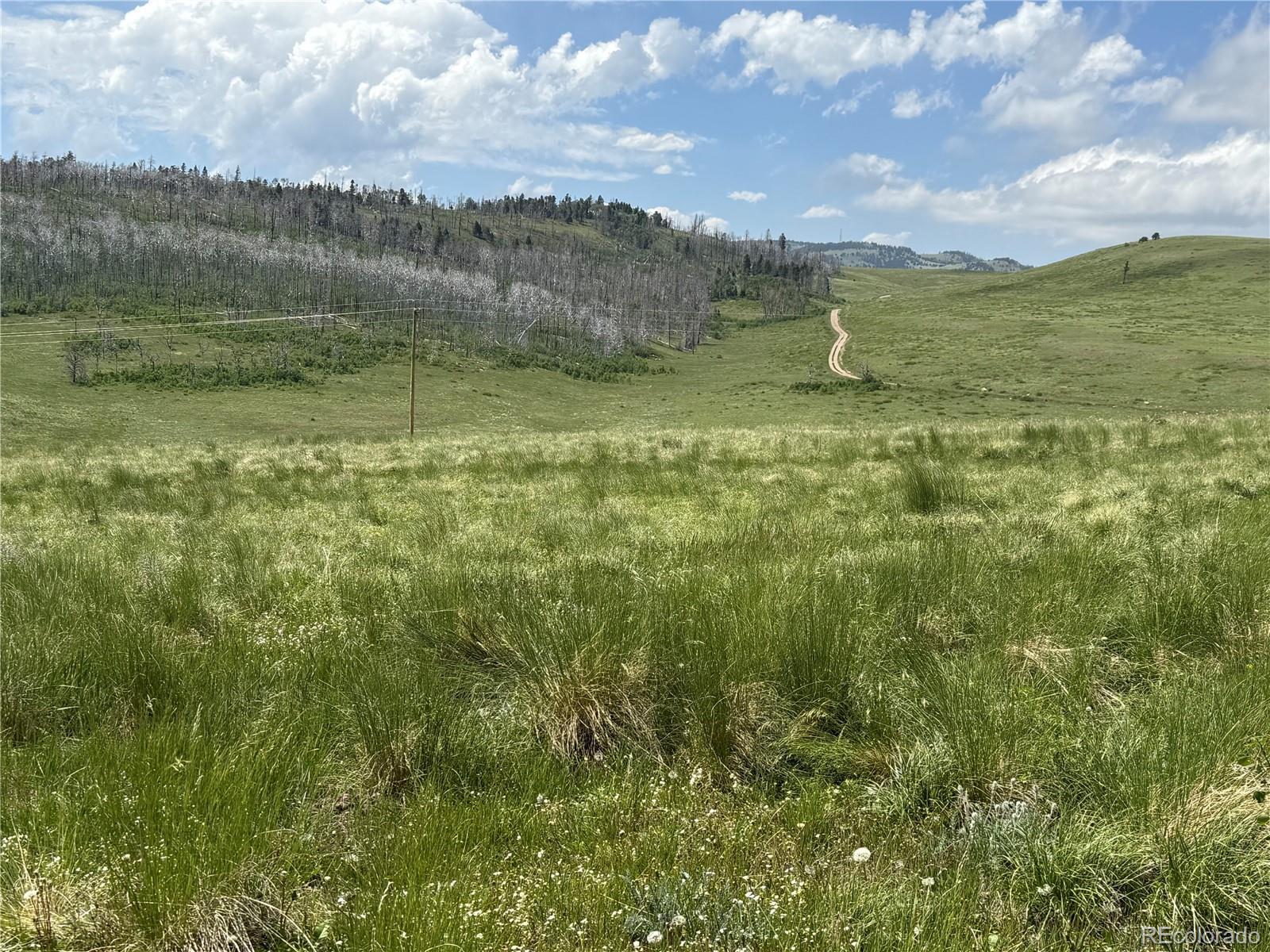 Lot 428 Powers Road