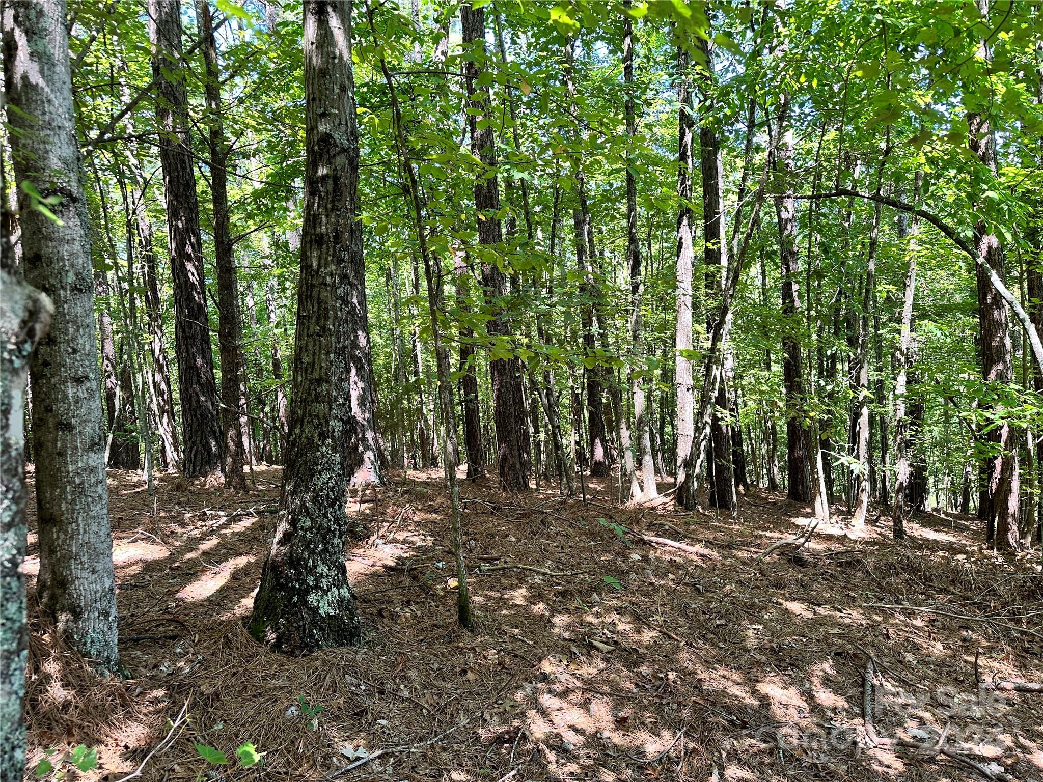 67 Dunn Trail 9