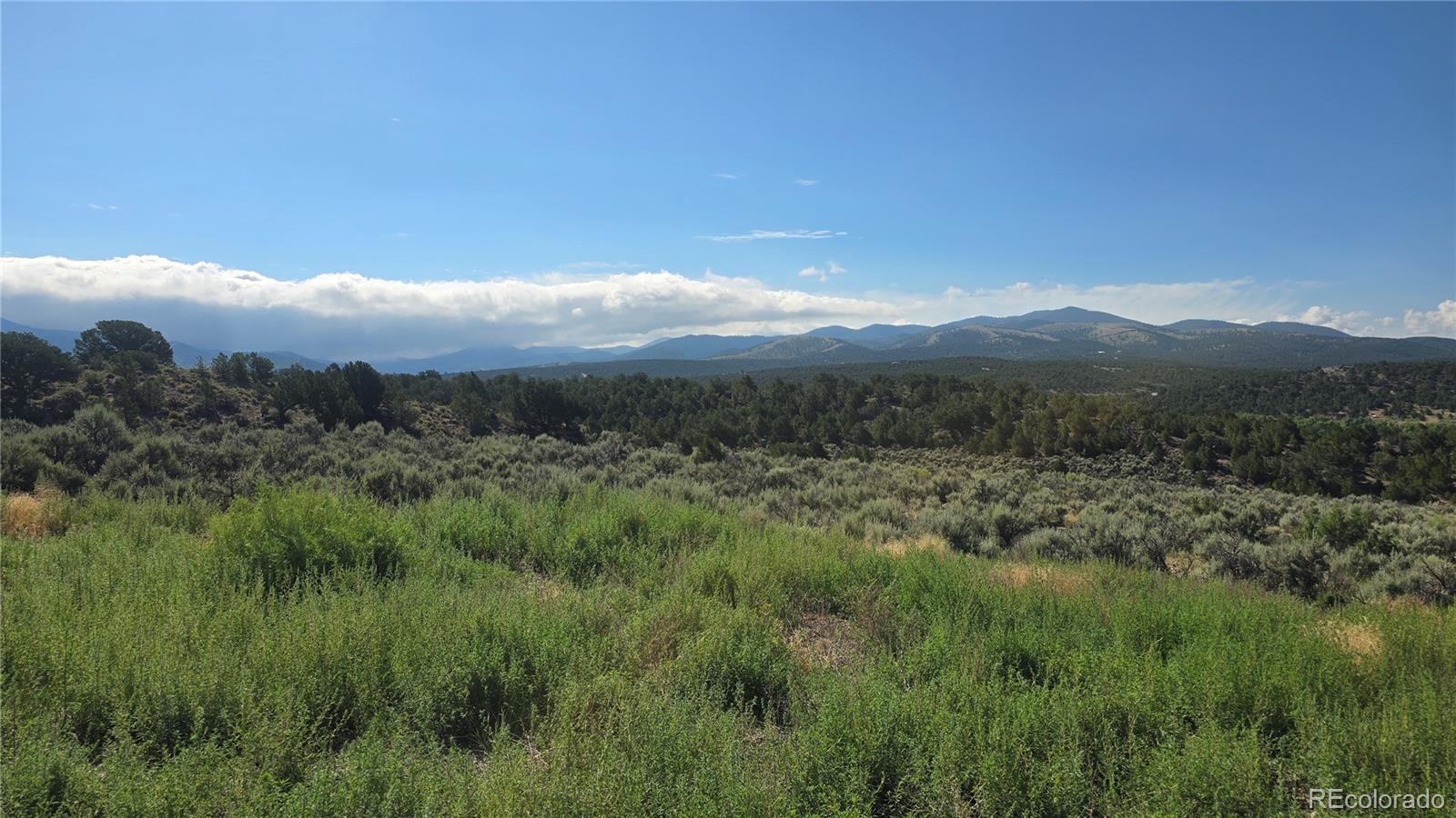 Lot 4296 Renfield Road