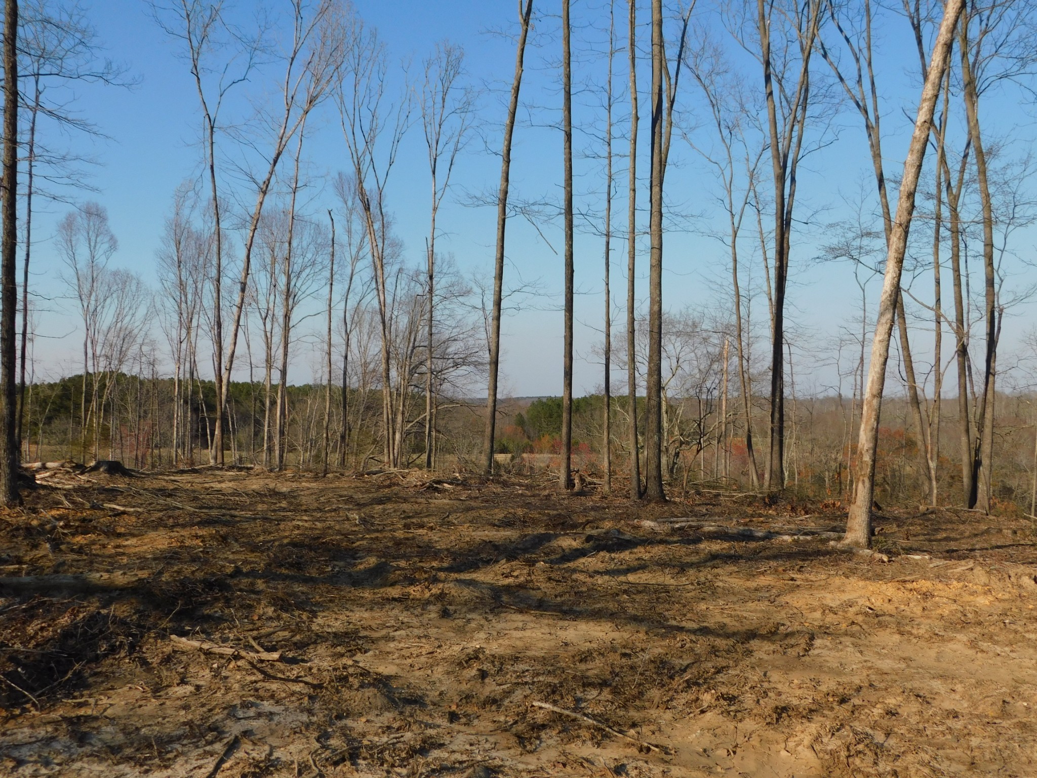 0 Lucas Ridge Road