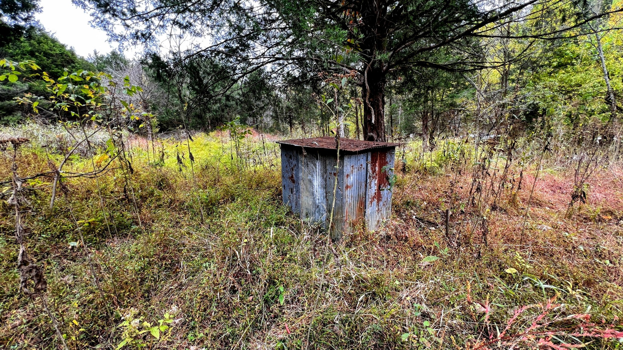 441 Pumpkin Hollow Rd