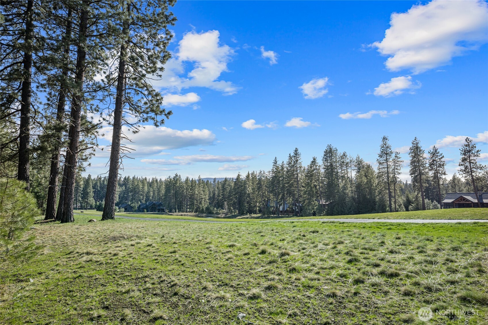 Beautiful level homesite