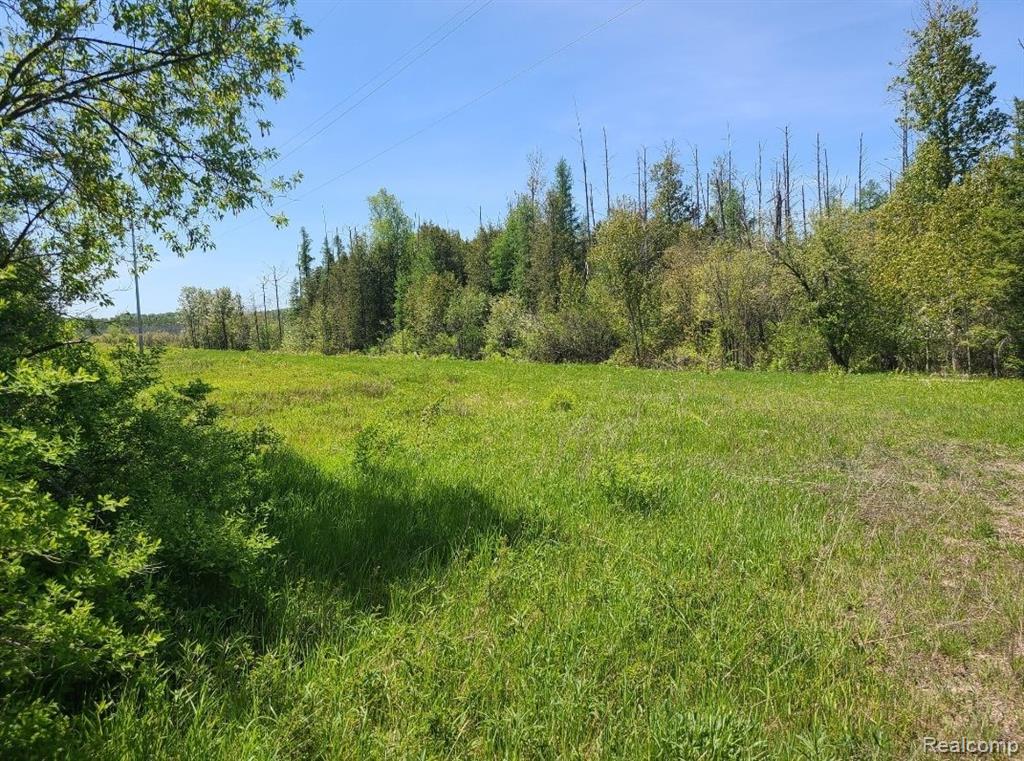 60 acres of beautiful land in Hebron Twp, Cheboygan!  Great for camping and hunting!  Navigable stream- Mud Creek runs through the middle.   Approximately 1/2 mile by 1/4 mile. Untouched forest.  Over 100 mature APPLE TREES.  Lots of plants and wildlife.   Deer, turkey, bobcat, blue heron and more walk the land. Create your own trail if you choose. Some wet lands. Electric and cable are on the road. Very well maintained gravel road. Possible billboard rent as it runs along highway I-75. Neighbors are far and few.   State land (80 acres) is landlocked next to this land. Hebron Michigan is known for having the best Maple Syrup producers around. Enter property using driveway (chain gate) on Hebron Mail Route Road. Land Contract available. 
15 minutes to Lake Huron 
15 minutes south of the bridge.
20 minutes to Machinaw City
15 minutes to downtown Cheboygan