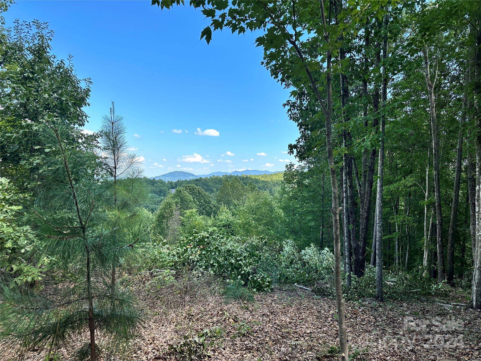 65 Serene Trail 461