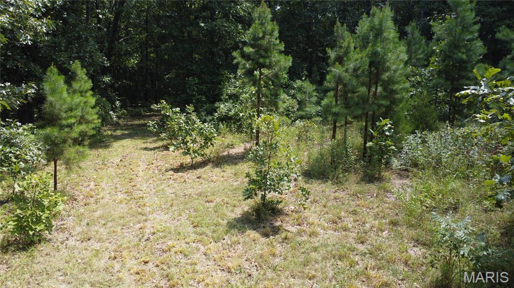 0 Singer Trail 3.84+/-Ac