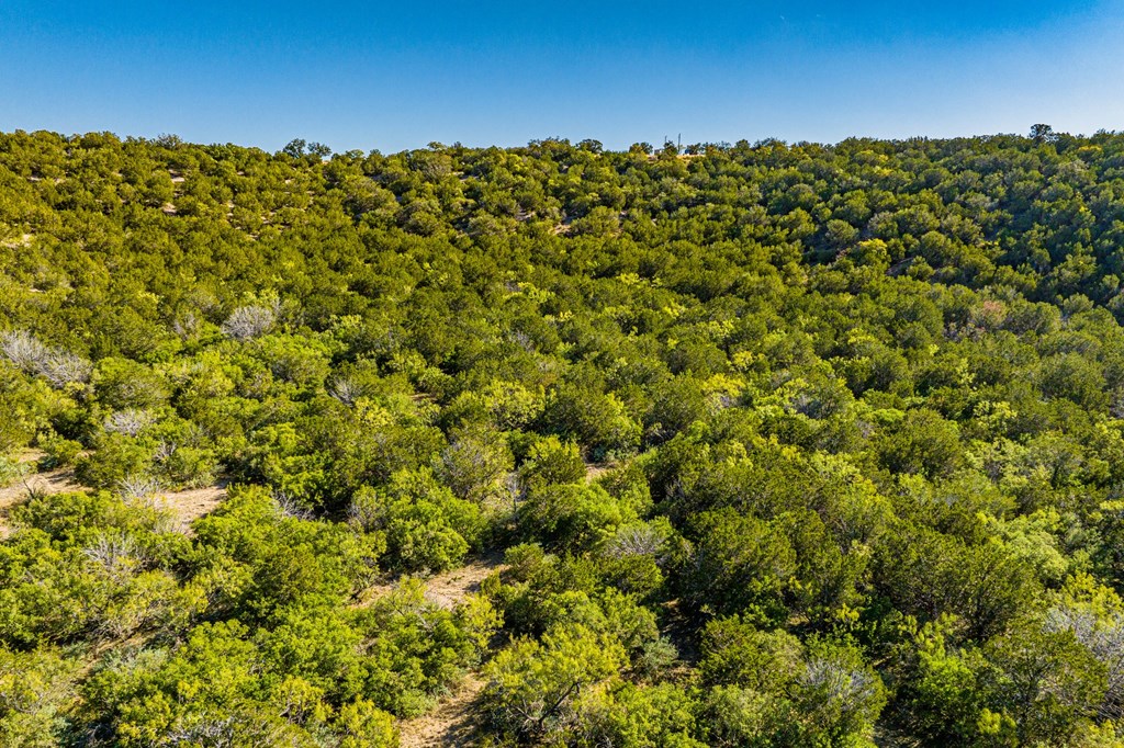 29 NE Big Draw Drive