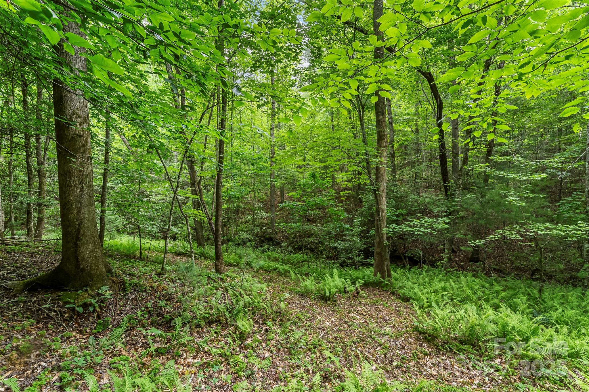 4090 Pea Ridge Road