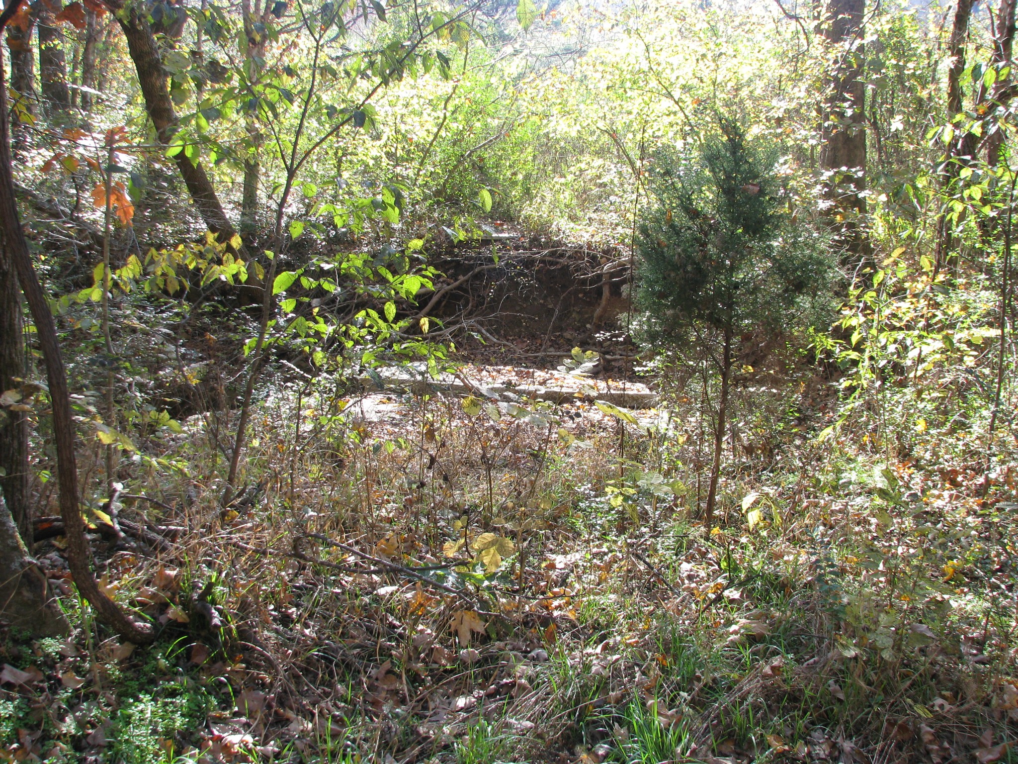 199 Spann Loop