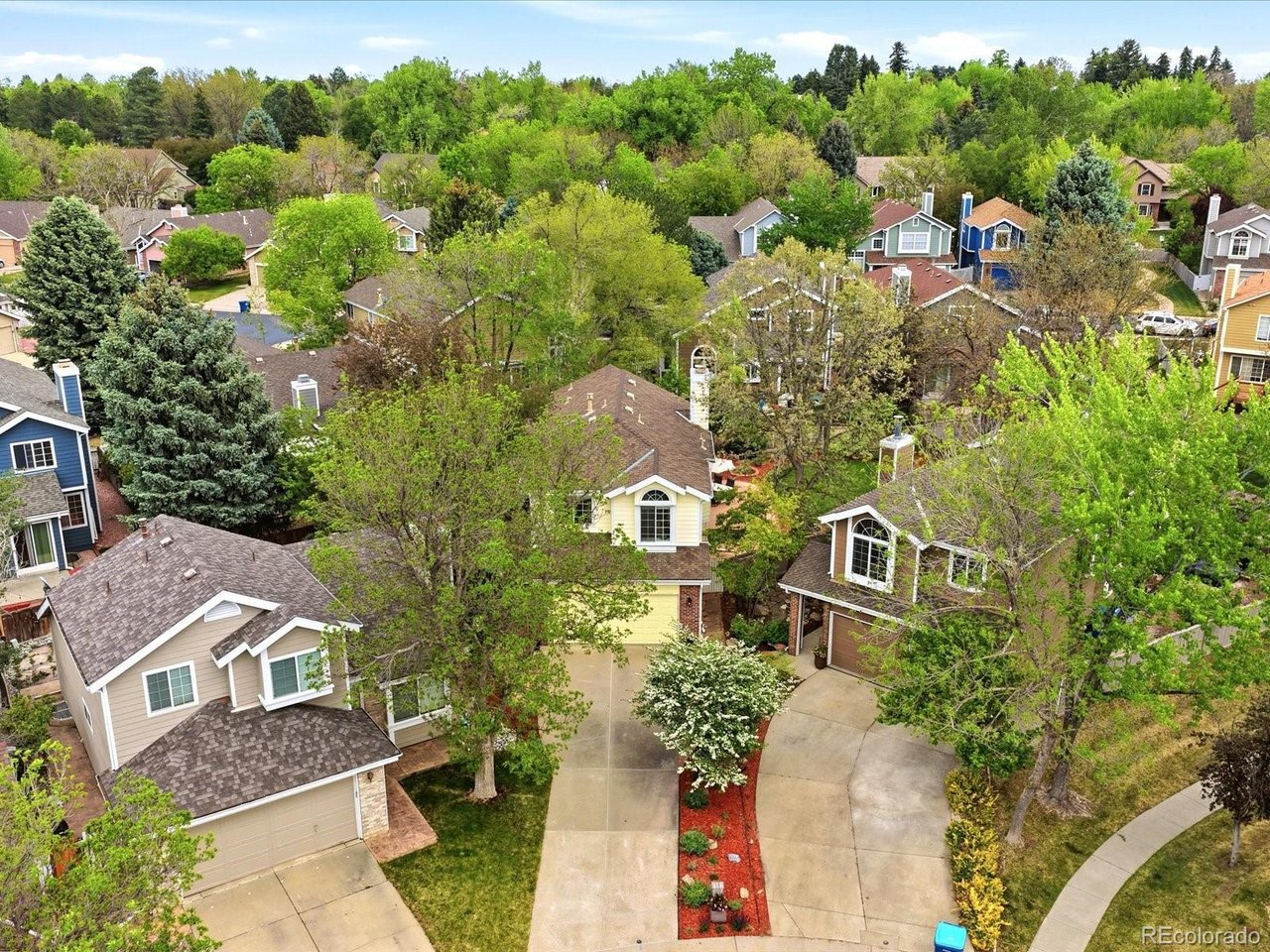 Cul de Sac beauty with updated kitchen and bathrooms, Energy star windows in bedrooms & family room; Energy Star sliding door in kitchen, Open flexible floor plan, Vaulted ceilings and ceiling fans, Lots of natural light and large arched windows in living/dining rooms, Quiet park-like landscaped backyard with Trex composite patio and multiple lighting zones, Finished basement bonus room and storage room, 4 bedrooms upstairs, custom Hardwood floors on main level, Central air, 2 car garage, Laundry room is conveniently located on main floor and has storage shelves, Xeriscaped front flower beds.STUNNING 4 bedroom home in Charterwood at Lakewood Estates. Vaulted ceilings, tons of natural light and plant ledges. Pride of ownership with thoughtful updates throughout. BATHROOMS *Newer Corian countertops *newer Corian showers *newer frameless glass shower doors *newer fixtures *newer toilets, newer large tile flooring *newer cabinets in most of the bathrooms * KITCHEN*new cabinets *new corian countertops *new stainless sink * newer stainless appliances* Ten NEWER WINDOWS and/ or EXTERIOR DOORS *garage door with exterior keypad *Anderson sliding door *small arched Andersen front window * seven Marvin sliding rectangular windows* PLUS * trex composite deck * newer interior paint * updated light fixtures and fans throughout * newer fences * transferable roof warranty * Primary suite is a gem with en suite spa 5-piece bathroom to relax and unwind, and spacious walk in closet! FINISHED BASEMENT! INCREDIBLE LOCATION! Neighborhood trail, park and tennis courts. Hwy 285, Evergreen in 30 minutes!! 20 minutes to Downtown, 3 miles to Bear Valley park and open space, 20 minutes to Red Rocks Amphitheater and Green Mountain trails. Nestled in Lakewood, a vibrant city that seamlessly combines urban amenities with natural splendor. Enjoy the best of both worlds. Close to several prestigious private schools such as Norte Dame Catholic School, Colorado Academy and Mullen High School.