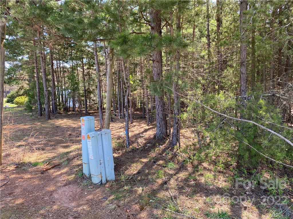 Next to 1670 Buck Oak Road