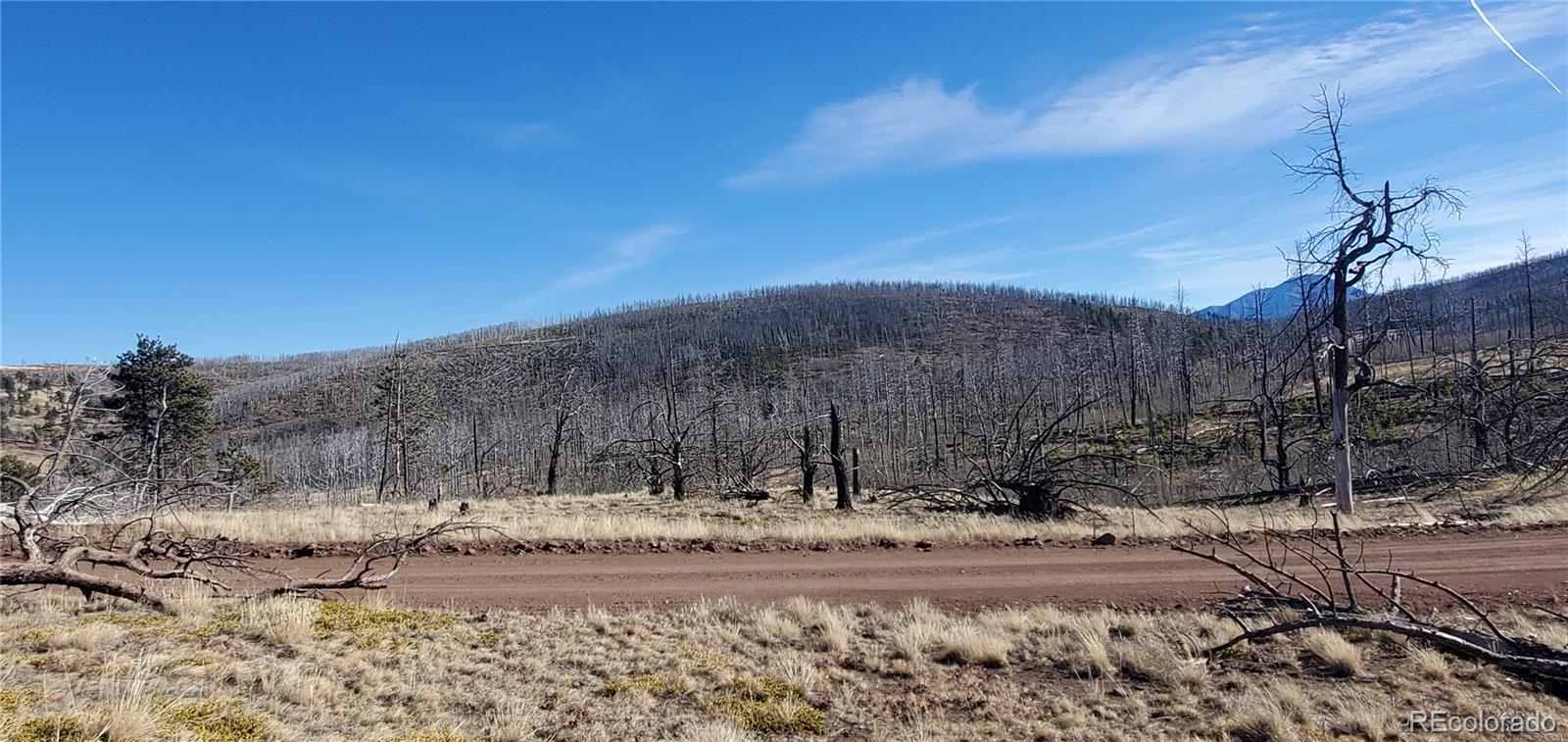 Lot 1566 Cary Lane