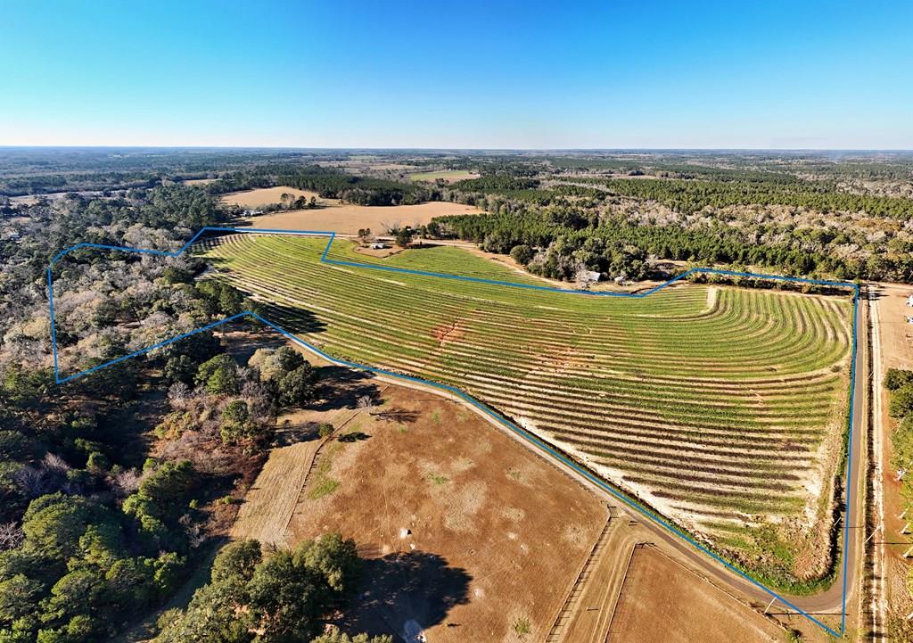 This 43 acre multi-use tract is made up of 30 acres of open field and 13 wooded acres with a creek.  It has been leased the last several years to a farmer producing cotton and peanuts.  Call today for more information on this versatile property and be sure to check out the drone footage here for a better view: https://galleries.page.link/gpbBT