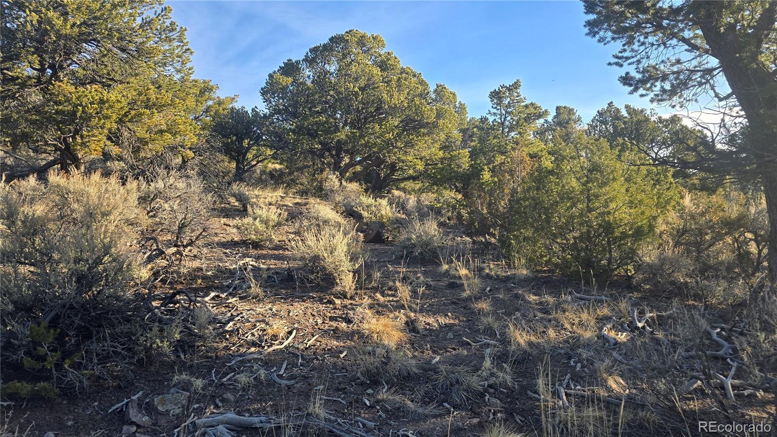 Lot 4582 Laidlaw Road