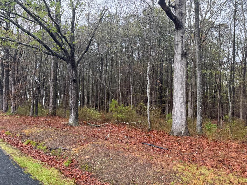 Large wooded lot in the community of Baywatch in New Church, Va.  This community is located on Pitts Creek and has a pier that is great for crabbing and fishing.  Community has several man-made ponds. community dry-hydrant fire hydrant, and a community barn for the family horse.  Just minutes from the Maryland/Virginia stateline and just a short commute to the NASA/Wallops Flight Facility.