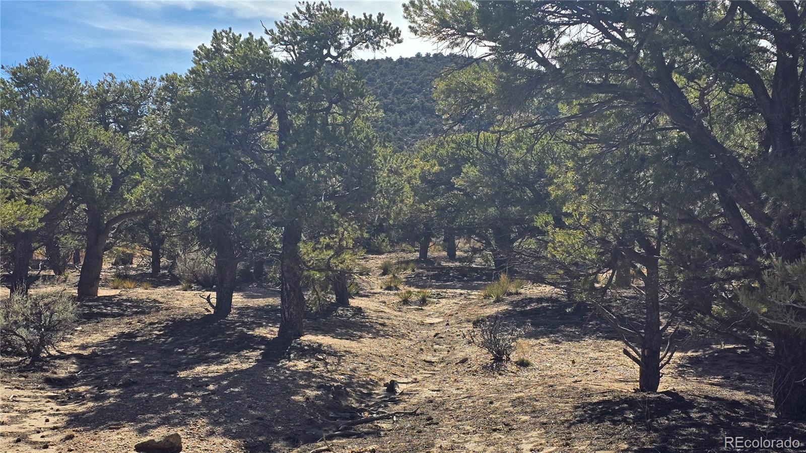 Lot 409 Williams Road