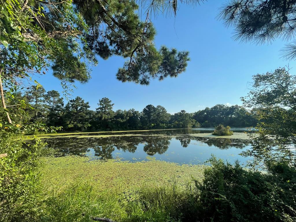Great Investment for Living! Build a home in the back where it is nice and private.  220 Dillon Rd.- Country Farm with 2 ponds on 28 acres zoned AG and partially R3.  City of Thomasville Water.   Property is adjacent to  RM11, AG, CL, and R-3, Zoned property.  In addition to 270'+ frontage on Dillon Road, the property has ingress/egress right across a private road to the west.  Multiple Home Sites possible.  Retriever Training Tract with some pond modifications.   Good Tifton Soil for pasture, planting, or pine trees.  Some Deer and other wildlife (Gator spotted in pond.)  Pond Birds, Ducks. Dove, Turkey.  This property could make one nice dove field for sure.   Nice little hunting tract close to Thomasville.  Future Transitional Value - as Thomasville grows out 319 this property will likely transition into another higher and better use.  City Water is already at the property.  Very private setting in the back of the property.  Towering  Pines. Hilltop Views down on the ponds,, Wild Grapes and Persimmons.  Producing Pecan Trees at the front of the property on Dillon Road.  Large Shed.  Minutes to Downtown Thomasville.  Crop Land Leased year to year.  Check out the deer pics!  Shop on 1 acer in front of this 28 acers is also for sell seperatly.  Youtube Video available and Land ID Link available.