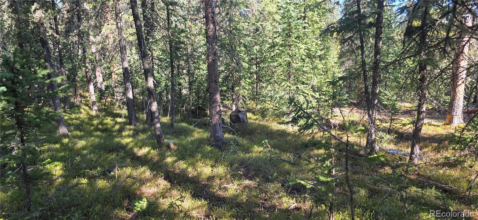 Lot 6515 Doyle Road