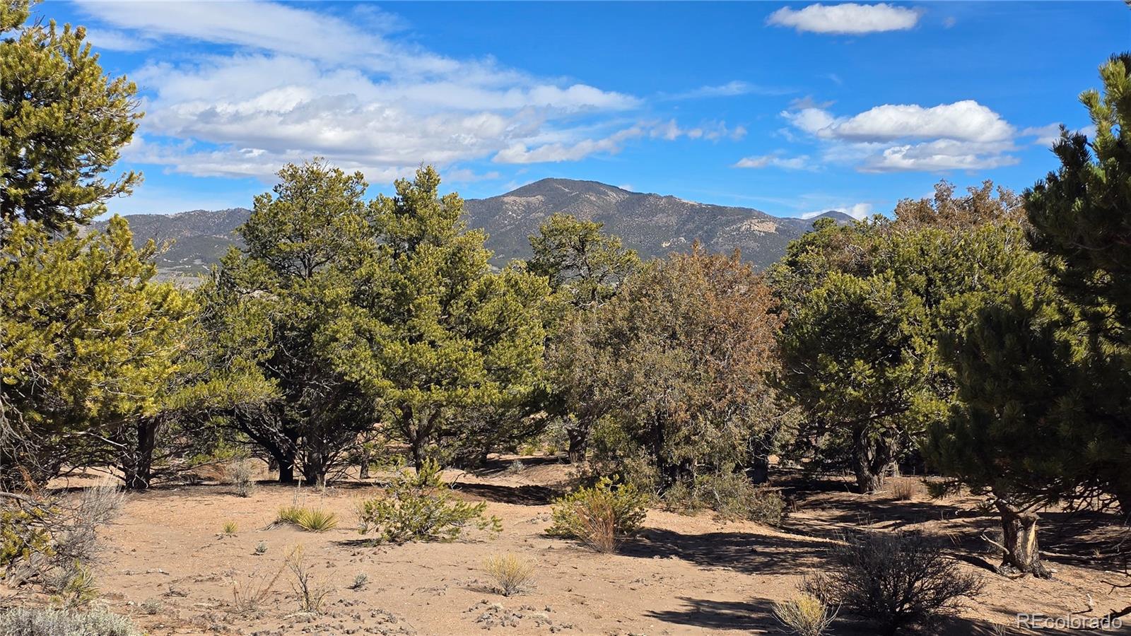Lot 409 Williams Road
