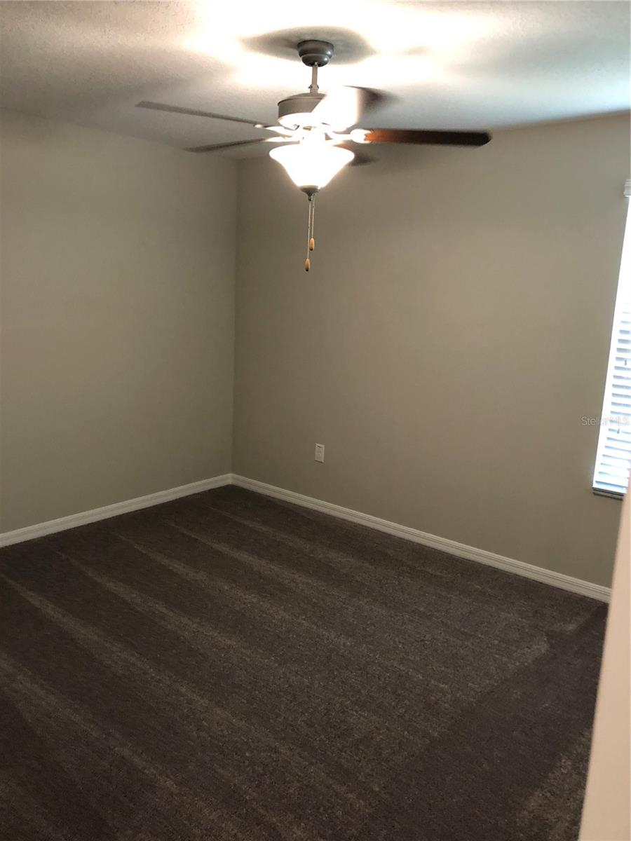 10103 Crested Fringe Drive