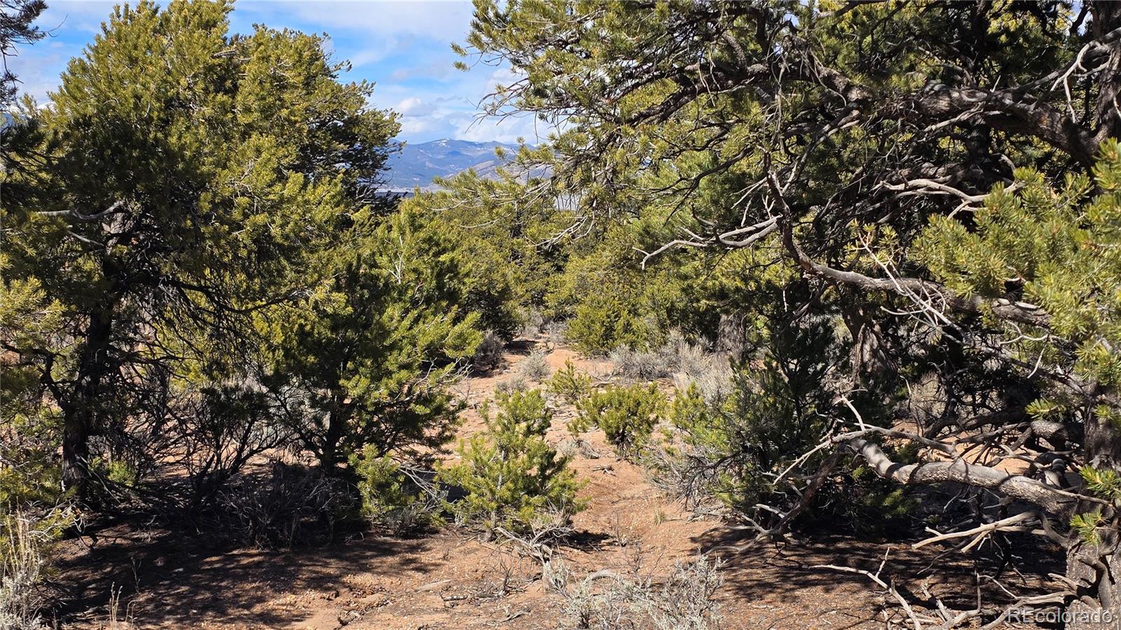 Lot 409 Williams Road