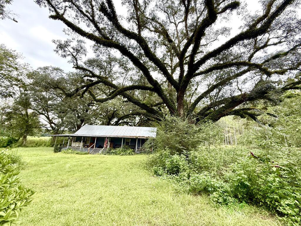 GRADY COUNTY 30  plus ACRE tract with 1 Bedroom 1 Bath 672 SF 19th century cabin. This cabin was originally the old stage coach building so it has lots of history and charm, including a wrap around porch to the front door.  It also has a loft area for extra sleeping quarters or storage. Recent metal roof and pex plumbing have  been upgraded as well as the electrical. (Includes FOUR mini new splits. 12 x 36 pole barn,120 plus income producing PECAN TREES. ELLIOTS, STEWARTS & MONEY MAKERS. Currently a farmer has a short term lease and will harvest approximately 10 acres and will cut that by Jan. 2027.  TW@O small stocked ponds too. BUT WAIT there's more. 2022  Live oak Universal 16 x 60 2 bedroom single wide mobile home also included. CURRENT VA LOAN CAN TRANSFER if qualified.