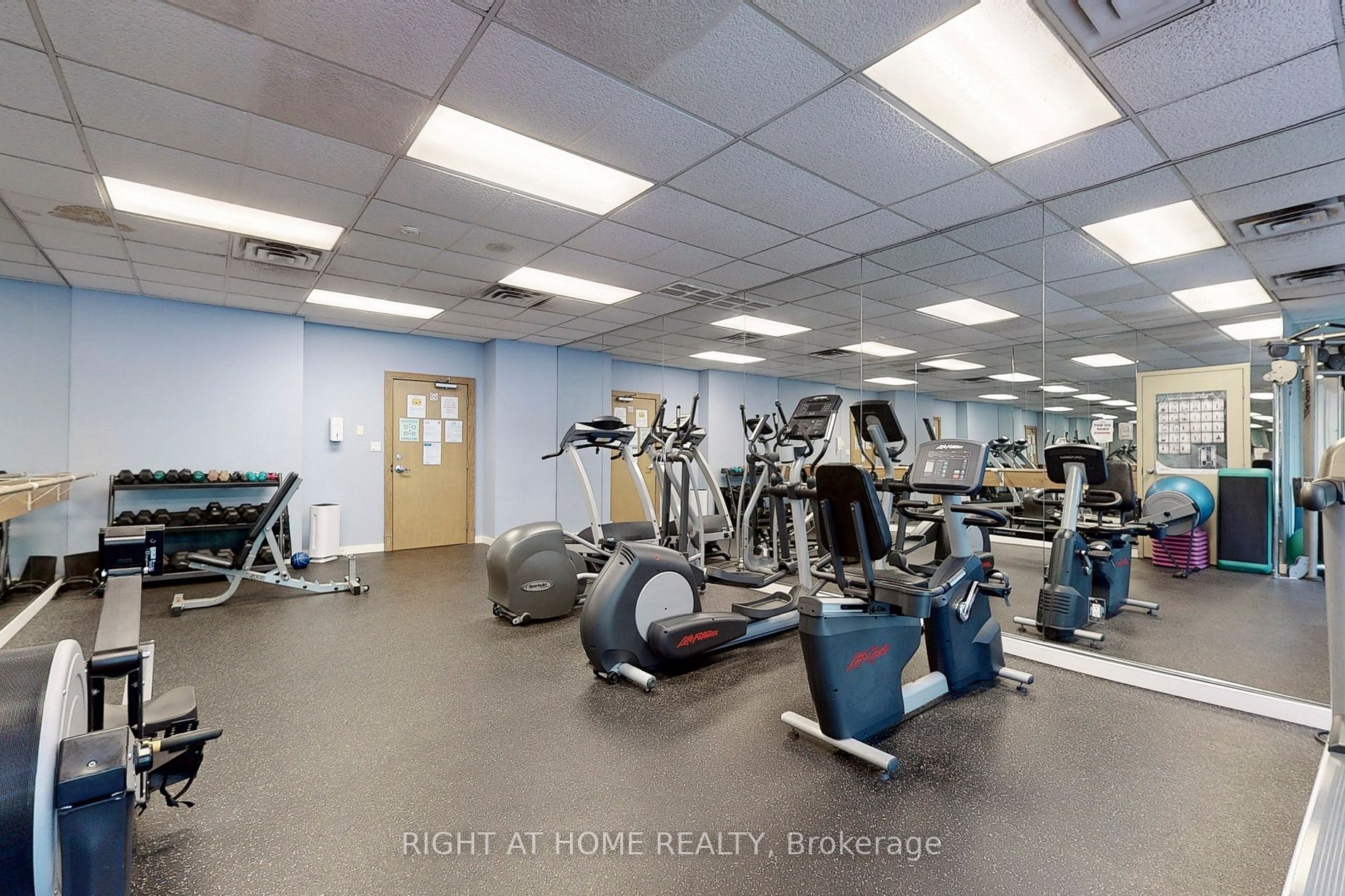 233 Beecroft Rd 812
