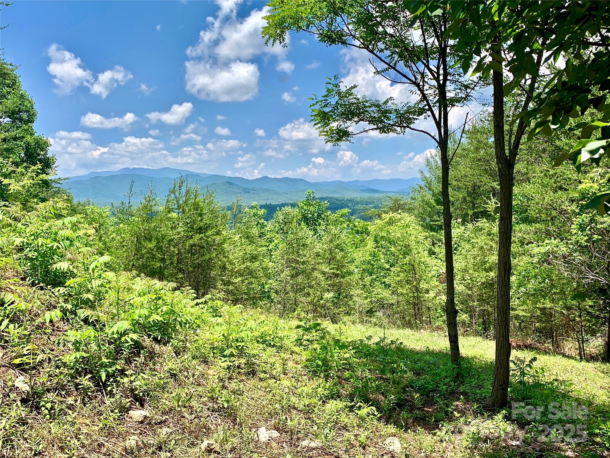 1879 Johns Ridge Parkway Lot 163