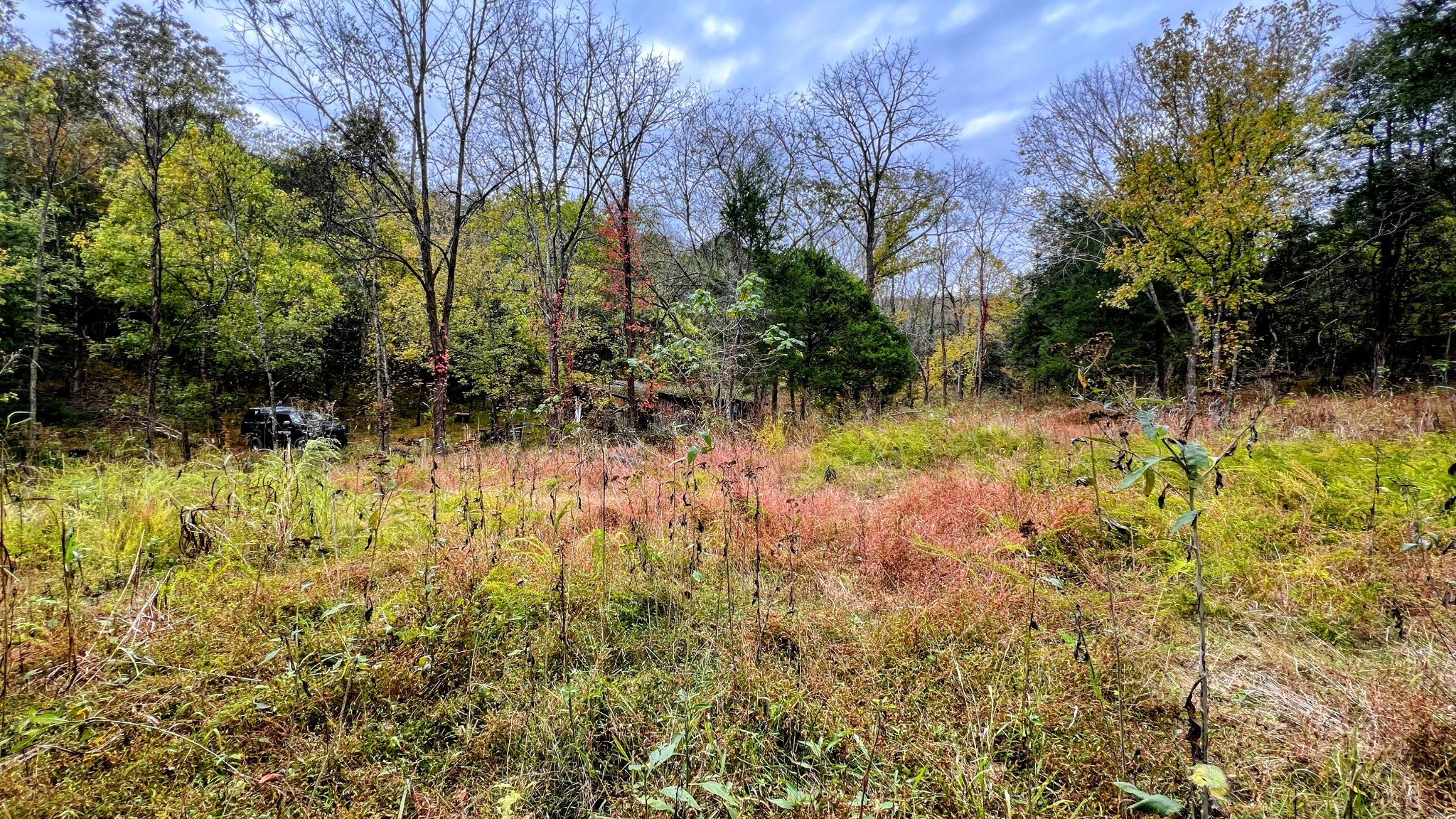 441 Pumpkin Hollow Rd