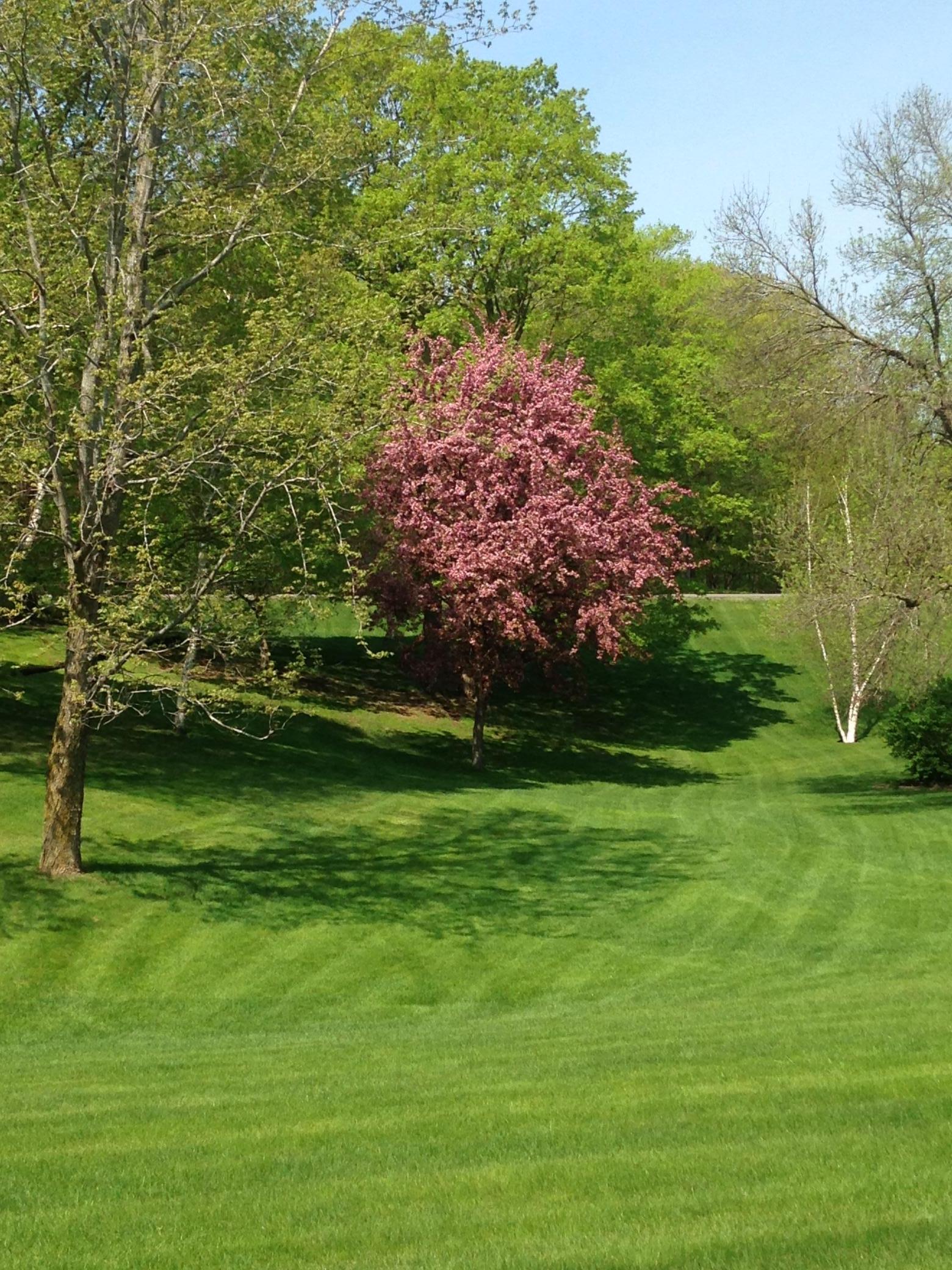 16173 County Road 51