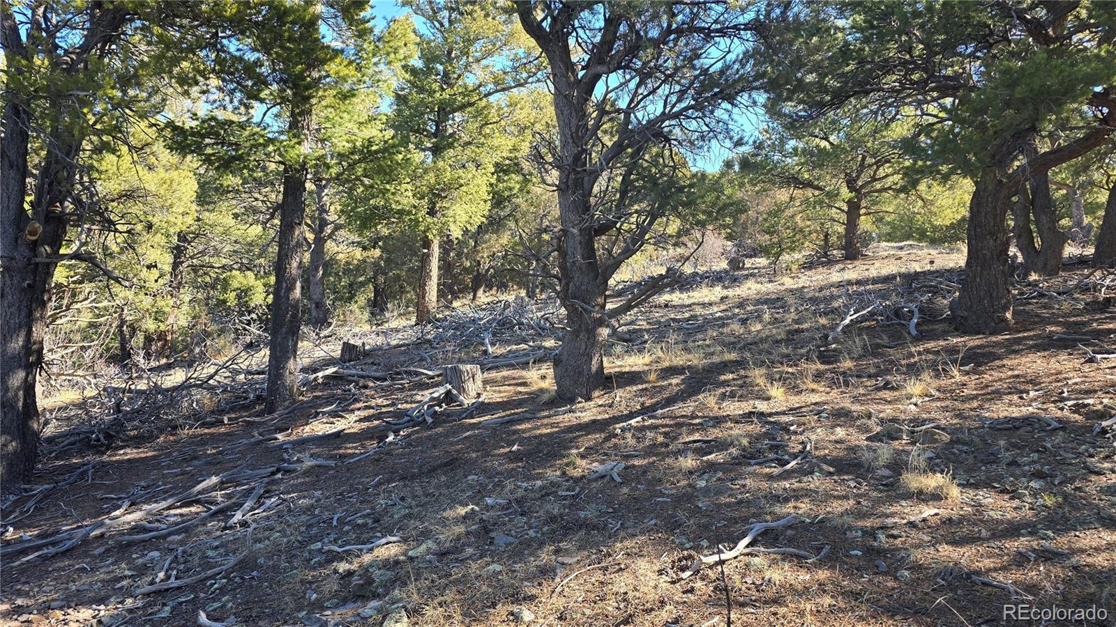 Lot 4510 Iannelli Road