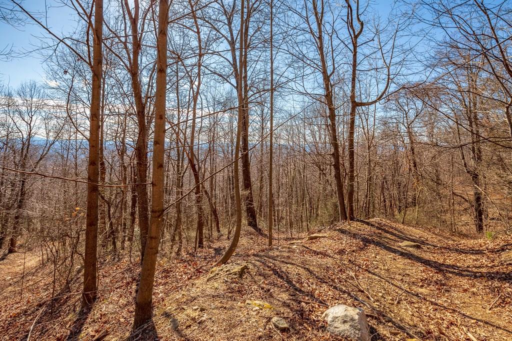 Lot 115 offers an incredible opportunity to own your own piece of the mountain at an affordable price. Whether you're looking for a long term investment, a future homesite, or a chance to get in on the ground floor of a growing mountain community, this property deserves a closer look. Enjoy breathtaking mountain views along with access to outstanding community amenities, including a stocked fishing pond, a scenic waterfall, and a charming covered bridge with a picnic area for family and friends to enjoy. The peaceful setting offers the perfect balance of privacy and convenience.  Located just 1 hour from Winston Salem, NC, 1 hour 17 minutes from Blacksburg, VA, 1 hour 30 minutes from Greensboro, NC, and 1 hour 48 minutes from Charlotte, NC. You'll also be less than 20 minutes from local grocery shopping and only 28 minutes from Mt. Airy, NC.  This lot has been surveyed by map only. Buyer may obtain a physical ground level survey at their own expense if desired. Inquire for more details about Lot 115 and available owner financing. This is your chance to secure a beautiful piece of the Blue Ridge before it's gone. This property does have light residential restrictions and is located within a subdivision.