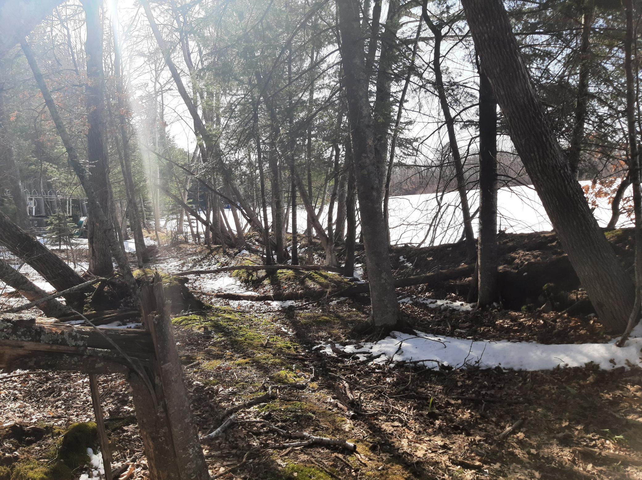 TBD Washburn Bay Trail NE