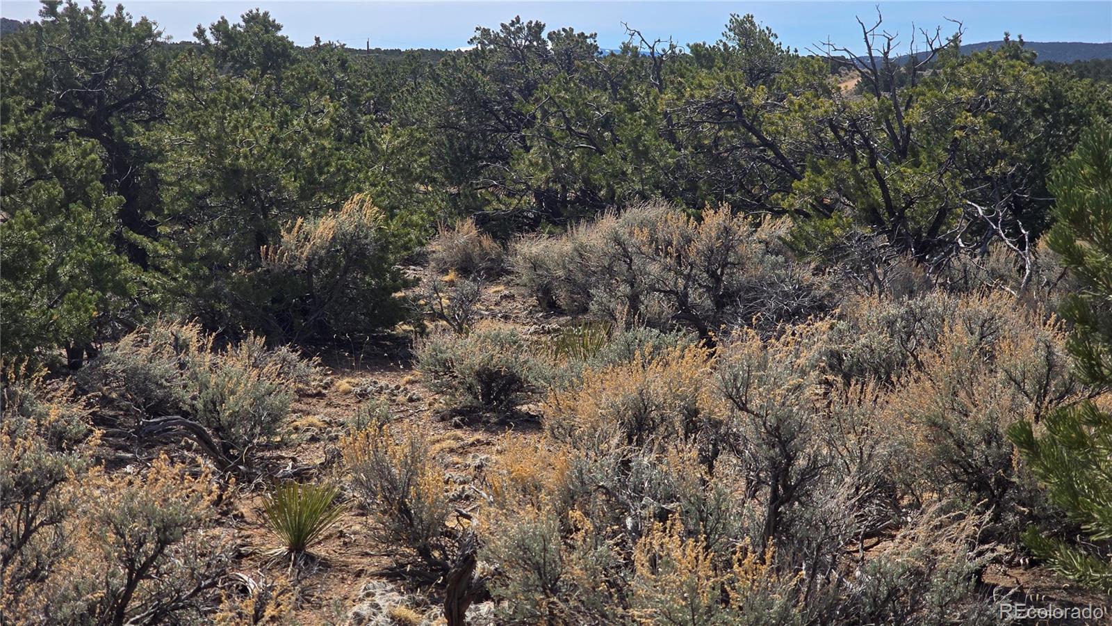 Lot 1248 Juarez Road