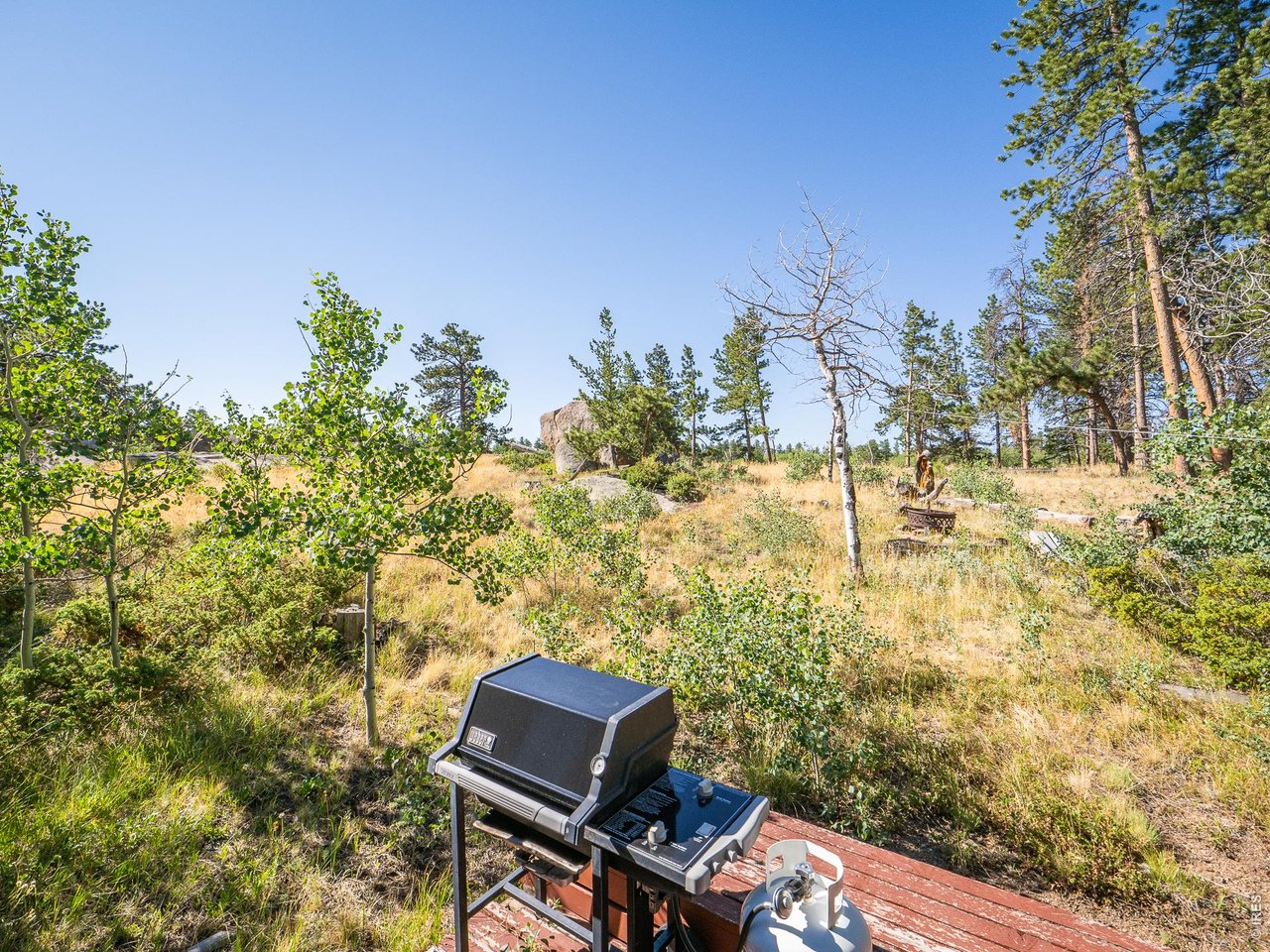 478 Wapiti Rd